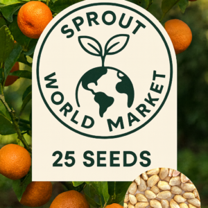 Mandarin Orange seeds – easy-to-grow non-GMO citrus for indoor and outdoor planting
