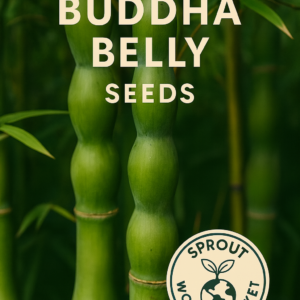 Buddha Belly Bamboo seeds – unique swollen-stalk non-GMO bamboo ideal for containers and tropical gardens