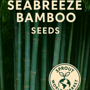 Seabreeze Bamboo seeds – fast-growing non-GMO bamboo ideal for coastal areas and privacy screens